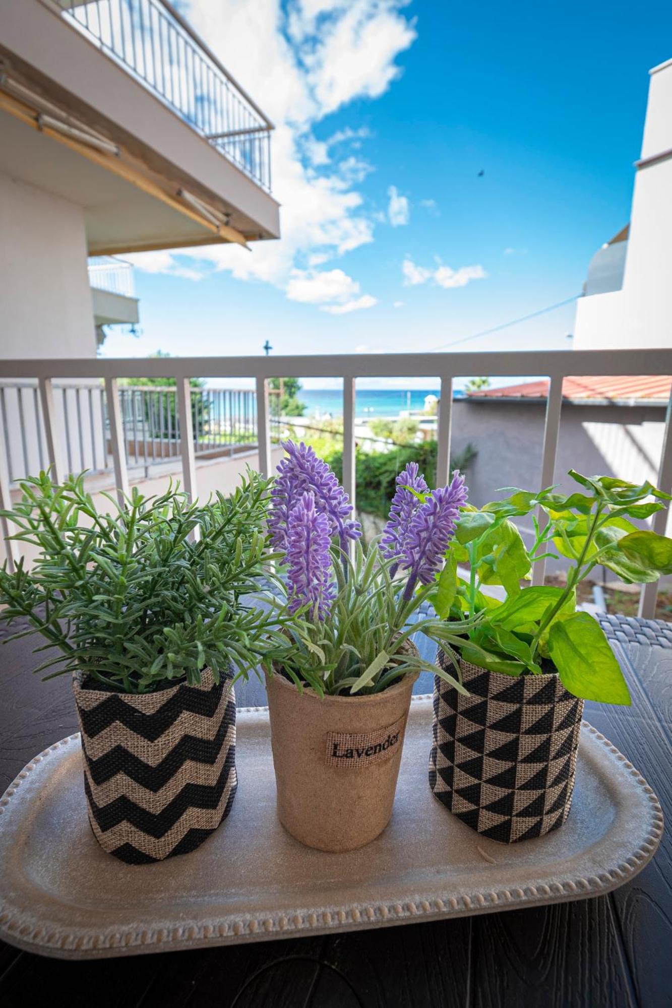 Sabbia Apartments Seafront By Rentalspro Services - Nea Moudania Halkidiki Eksteriør bilde